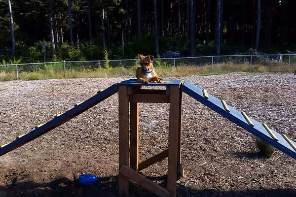 Wilder Dog Park photo 1